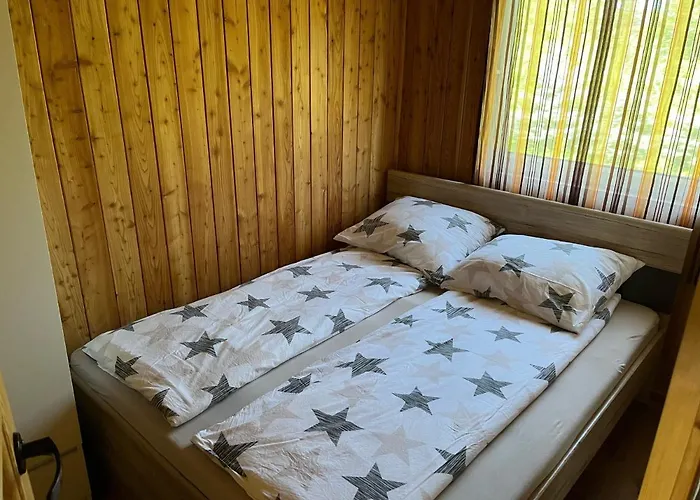 Adrian - Muszelki 66 *