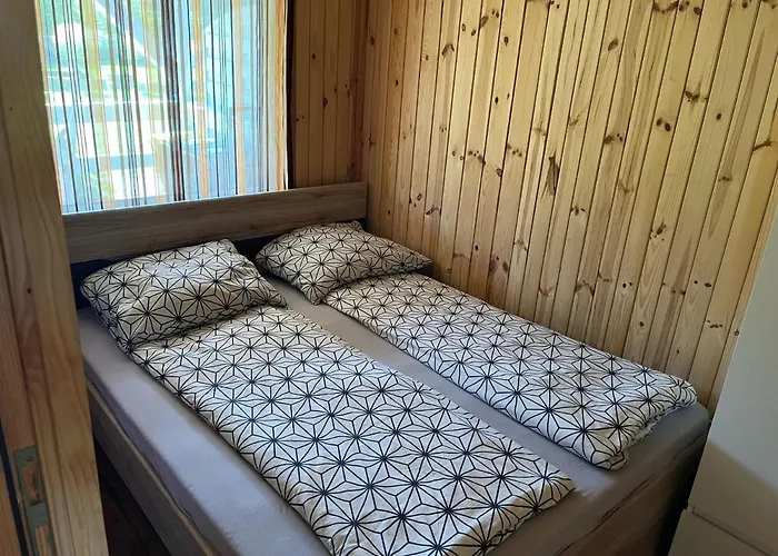 Adrian - Muszelki 66 莱鲍